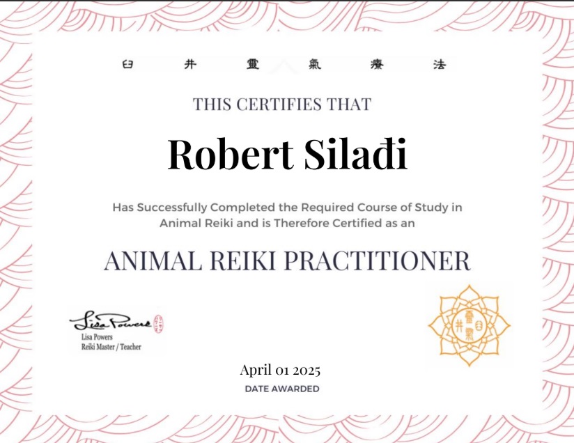Animal Reiki sertifikat